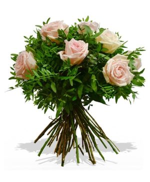 Garden The Rosie Flowers & Plants Co.