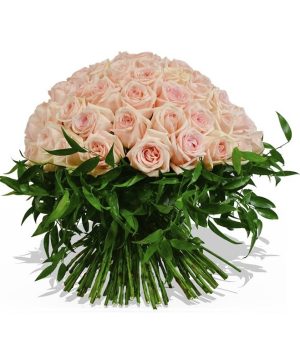 Garden The Sky’s the Limit Flowers & Plants Co.