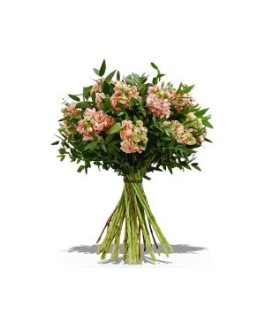 Garden The Special One Flowers & Plants Co.