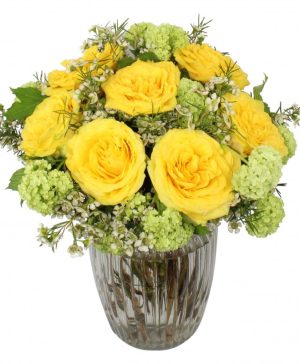 Garden Time to Shine Flowers & Plants Co.