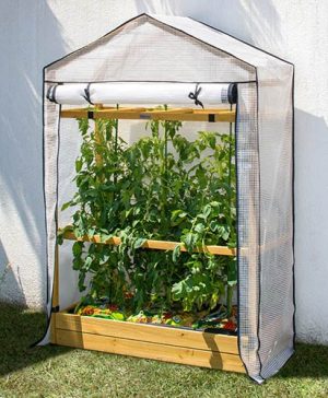 Tomato Greenhouse & PE Cover - Natural