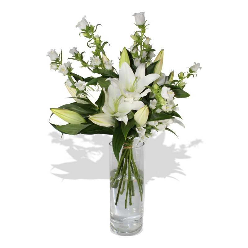 Garden Tranquil Vale Flowers & Plants Co.