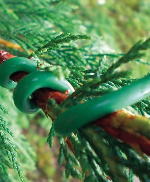 Twisty Garden Tie 4.8m x 5mm