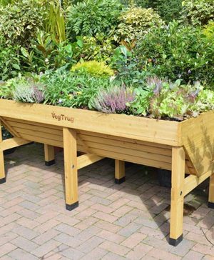 VegTrug Medium - Natural