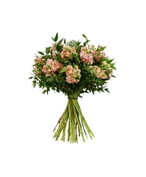 Garden Venice Beach Flowers & Plants Co.