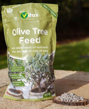 Vitax Olive Tree Feed 900g
