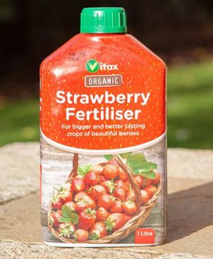 Vitax Organic Liquid Strawberry Feed 1L