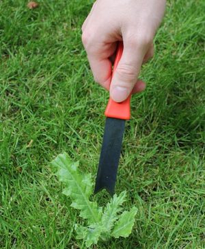Weed Root Cutter