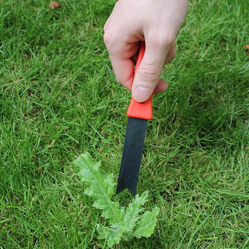 Weed Root Cutter