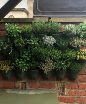 WonderWall - Single Section