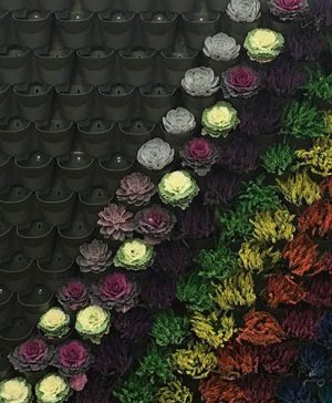 WonderWall Vertical Growing System - 4 Sections