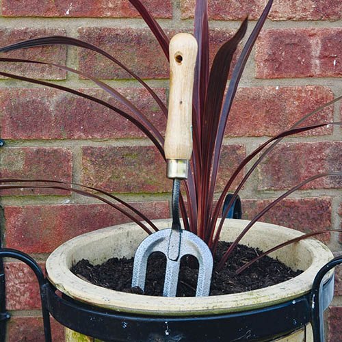 Wooden Handle Hand Fork