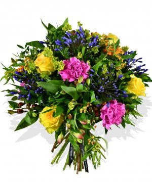 Garden Yellow & Blue Flowers & Plants Co.