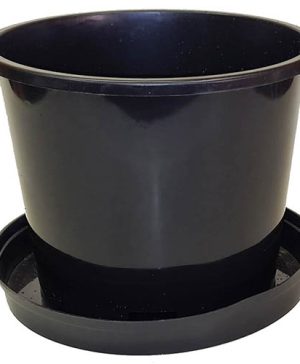 Bronte Patio Pot and Saucer