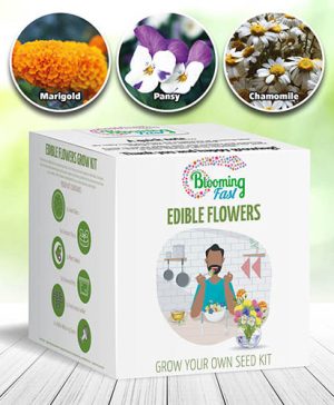 Edible Flowers Seed Kit