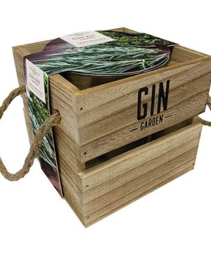 Garnish Growing Kit