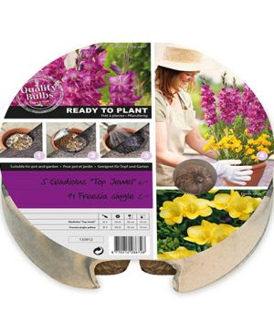 Gladiolus & Freesia Drop-In Bulb Pack
