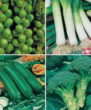 Greens Vegetable Seed Collection