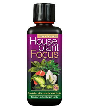 Houseplant Focus Feed