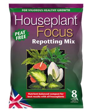 Houseplant Focus Repotting Mix