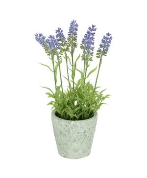 Lavender Stone Pot