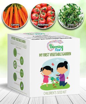 My First Vegetable Garden  - Grow Your Own Seed Kit