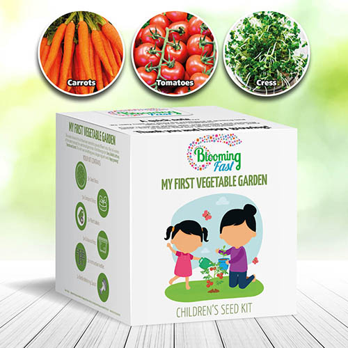 My First Vegetable Garden - Grow Your Own Seed Kit