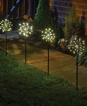 Starburst Stakes - Set of 4