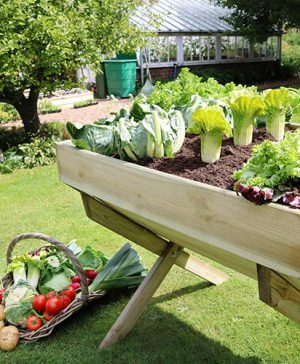 The Vegetable Grow Bed