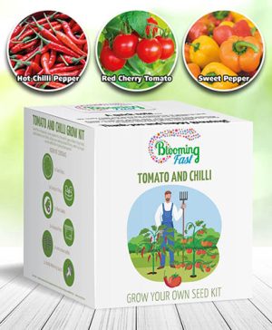 Tomatoes and Chillies Seed Kit