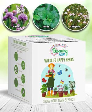 Wildlife Happy Herbs Seed Gift Kit