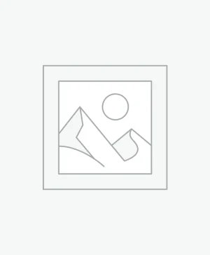 Buy Pleione Orchids in UK